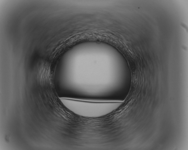 X0000092071490200709121015