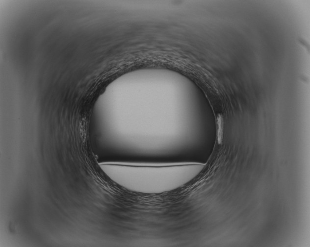 X0000092071491200709121015
