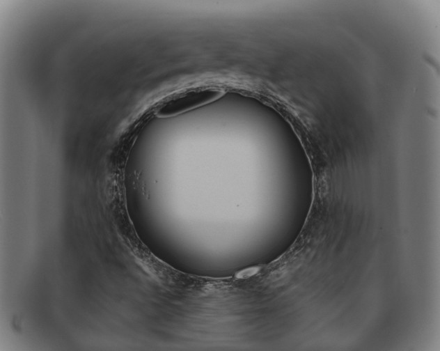X0000092071496200709121015