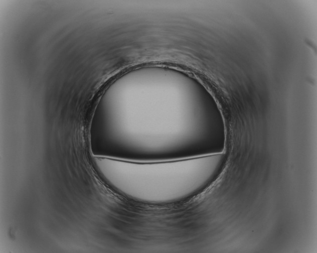 X0000092071497200709121015