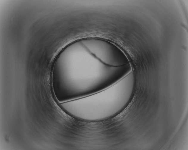 X0000092071500200709121015