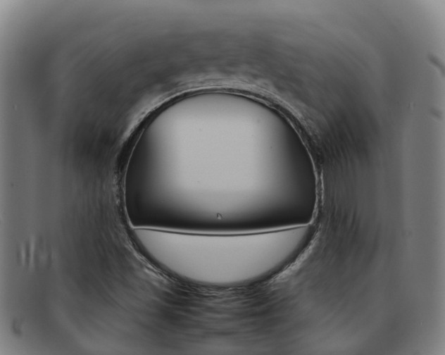 X0000092071501200709121015