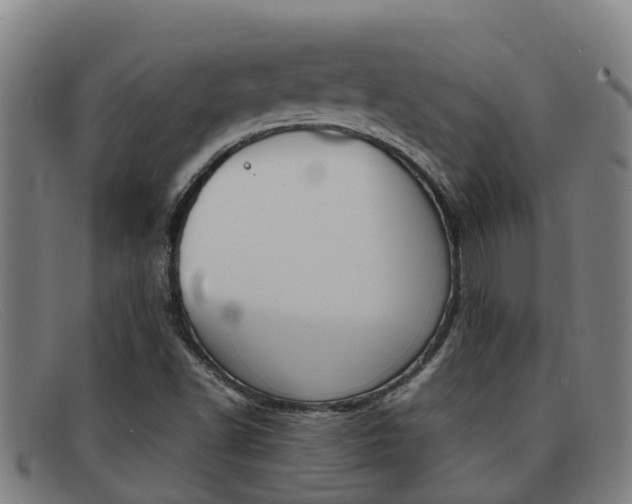 X0000092071502200709121015