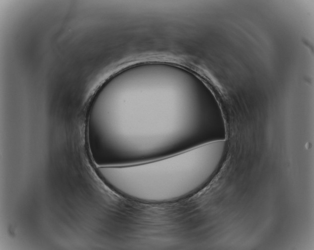 X0000092071504200709121015