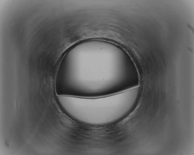 X0000092071505200709121015