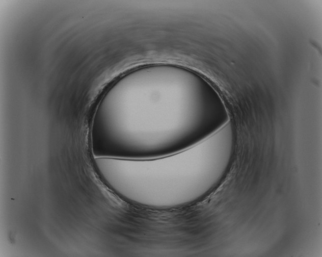X0000092071507200709121015