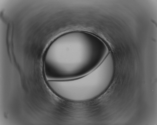 X0000092071508200709121015