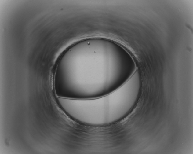 X0000092071510200709121015