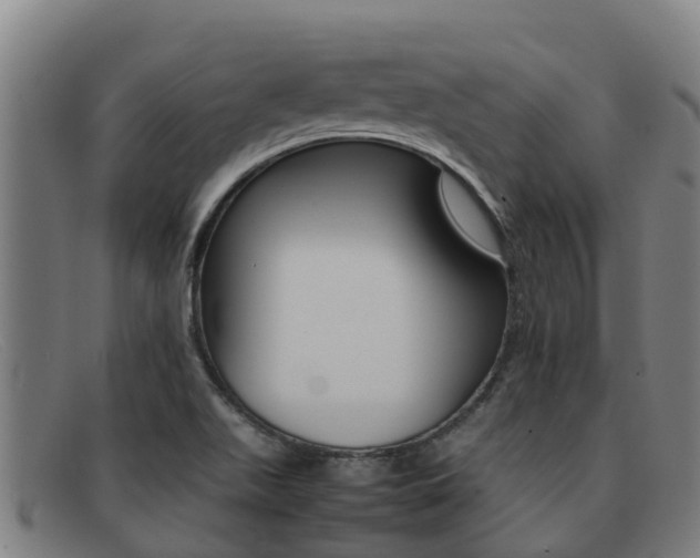 X0000092071511200709121015