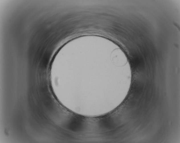 X0000092071514200709121015