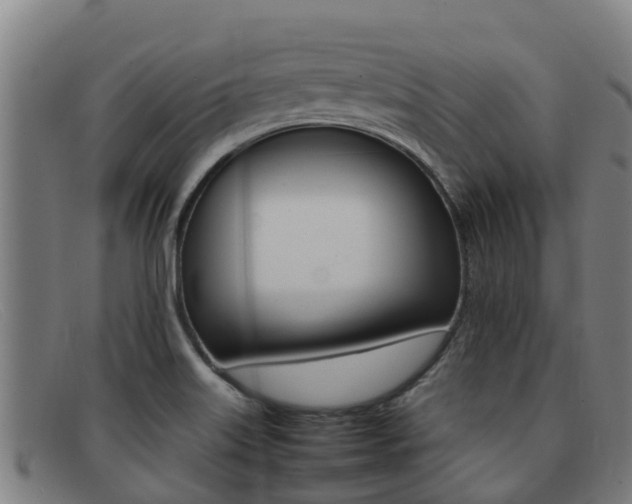 X0000092071515200709121015