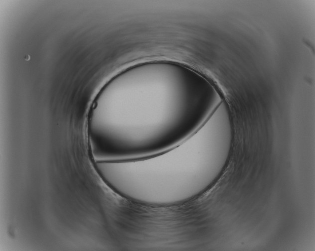 X0000092071516200709121015