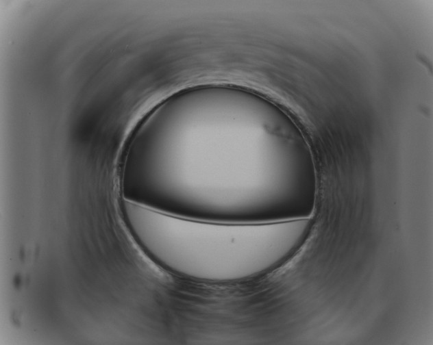 X0000092071517200709121015