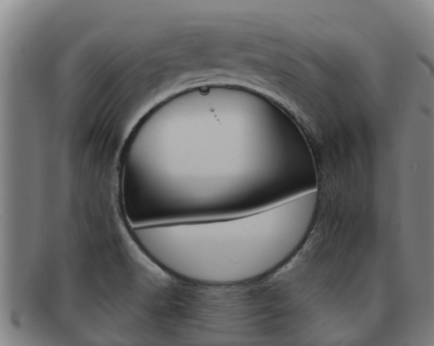 X0000092071518200709121015