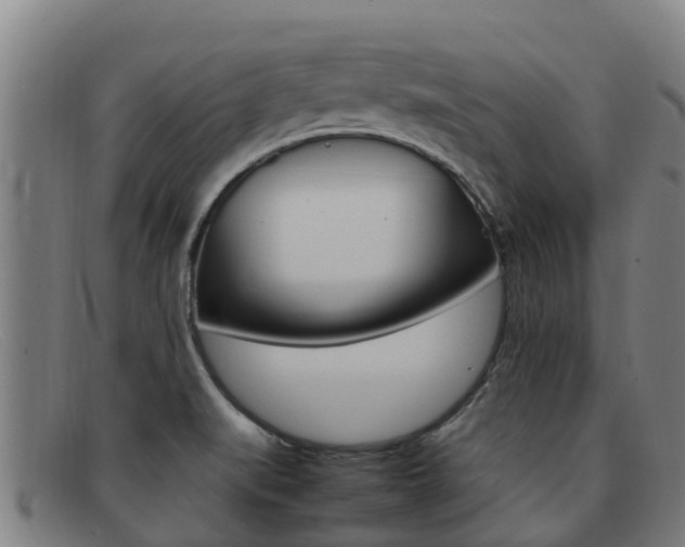 X0000092071519200709121015