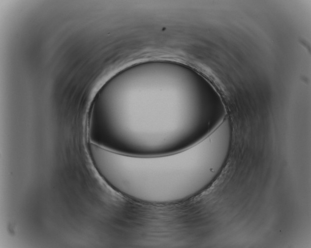 X0000092071520200709121015