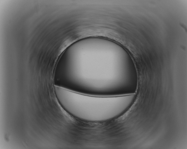 X0000092071521200709121015