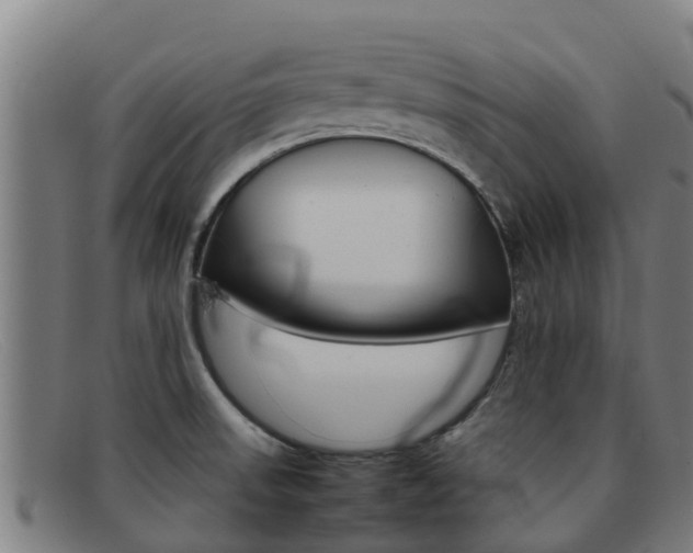 X0000092071523200709121015