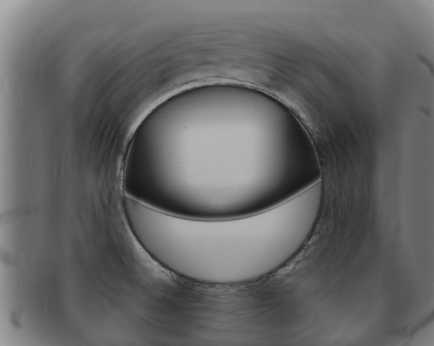 X0000092071524200709121015