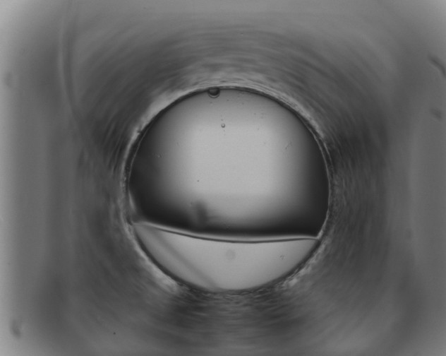 X0000092071525200709121016