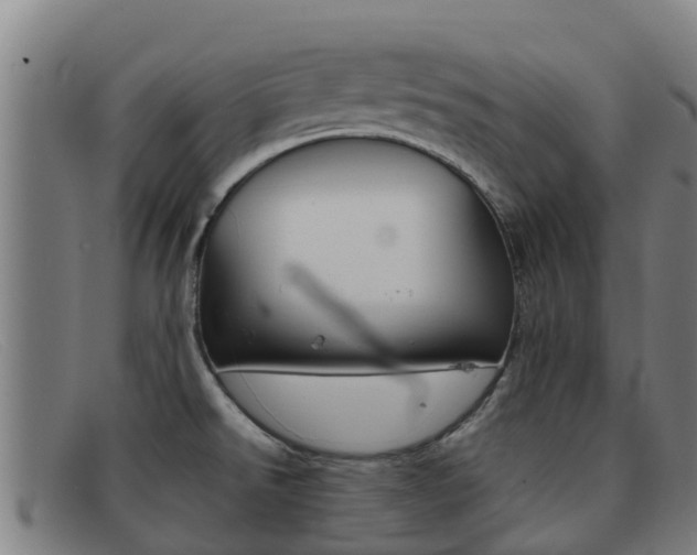 X0000092071526200709121016