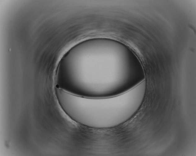 X0000092071528200709121016