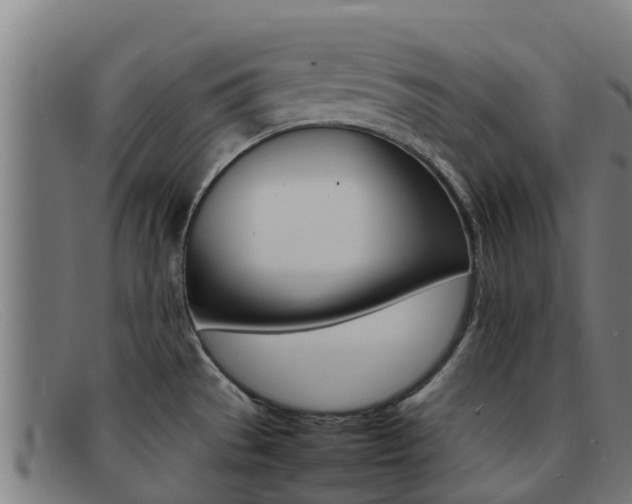 X0000092071529200709121016
