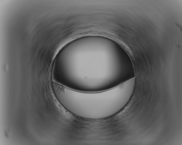 X0000092071530200709121016