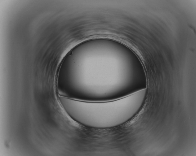 X0000092071533200709121016