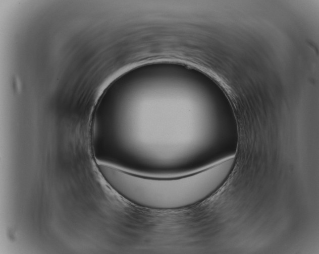 X0000092071534200709121016