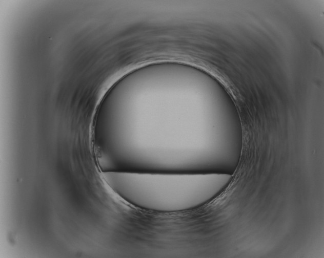 X0000092071535200709121016