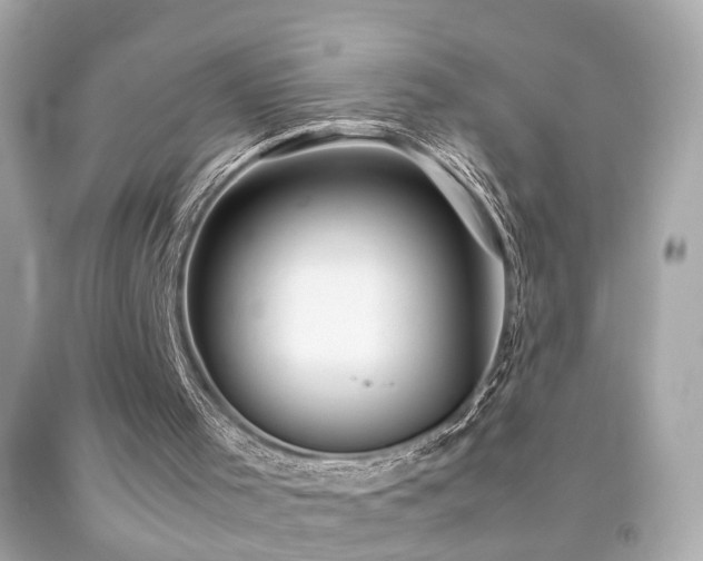 X0000092070001200709121425