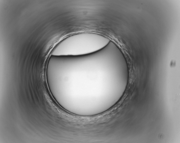 X0000092070002200709121425
