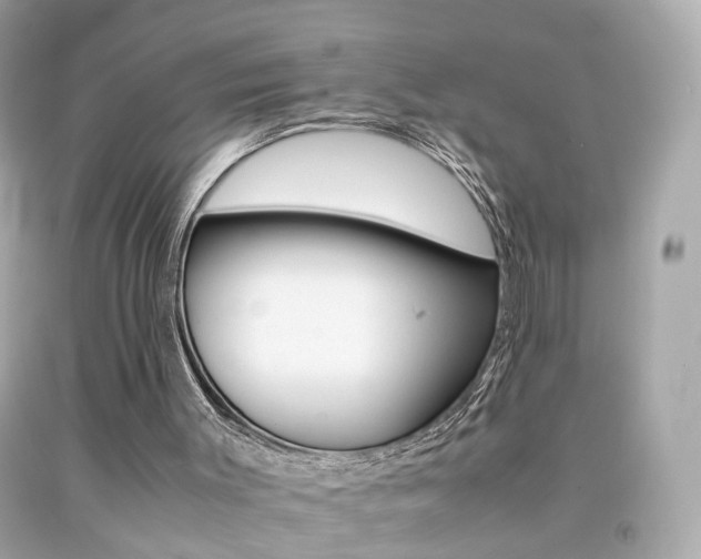 X0000092070003200709121425