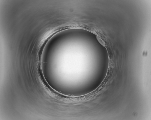 X0000092070005200709121425