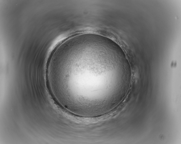 X0000092070006200709121425
