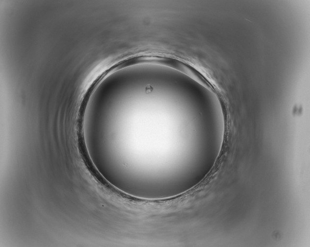 X0000092070007200709121425