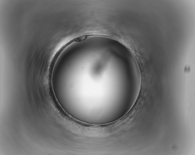X0000092070008200709121425
