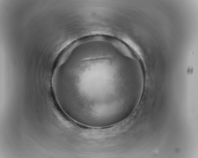 X0000092070009200709121425