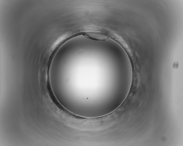X0000092070011200709121425
