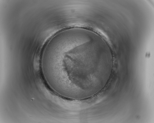 X0000092070012200709121425