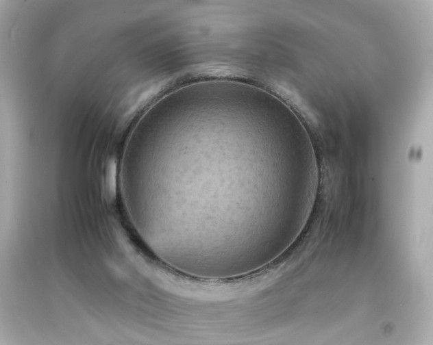X0000092070014200709121425