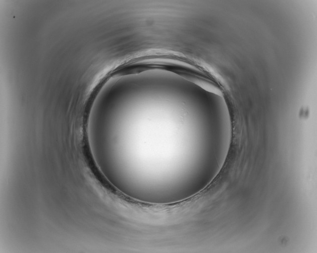 X0000092070015200709121425