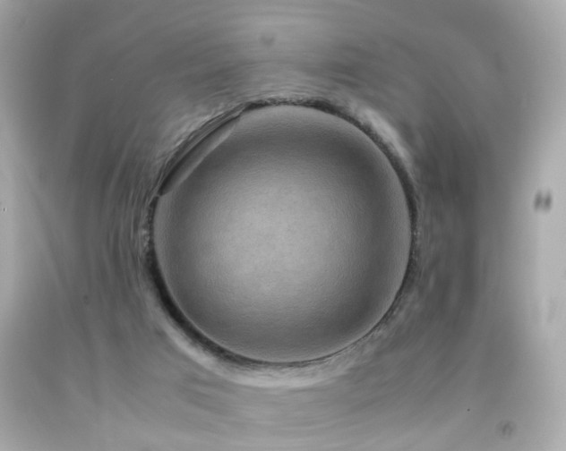 X0000092070017200709121425