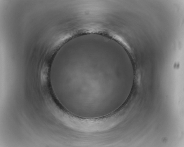 X0000092070018200709121425