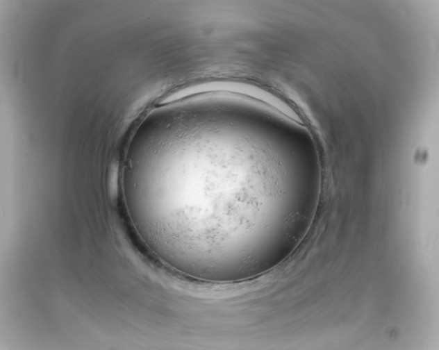 X0000092070019200709121425