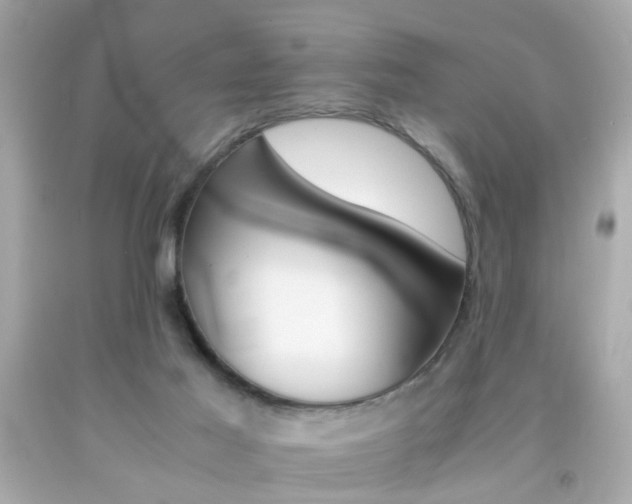 X0000092070021200709121425