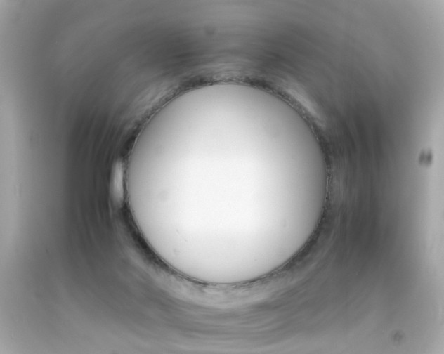 X0000092070022200709121425