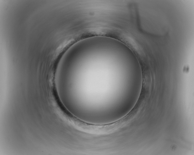 X0000092070023200709121425