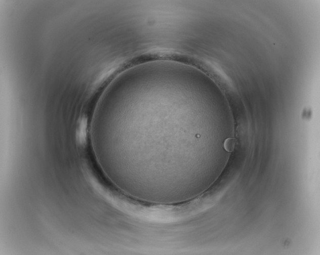 X0000092070024200709121425